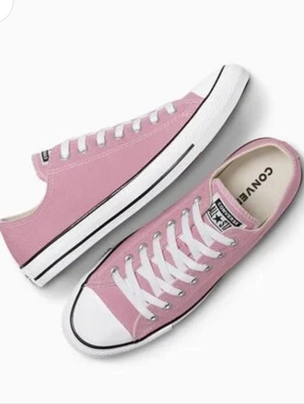Converse Chuck Taylor All Star Low Top Canvas Sneakers- Dusty Rose